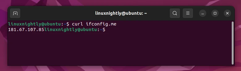 Output of public IP information in Ubuntu