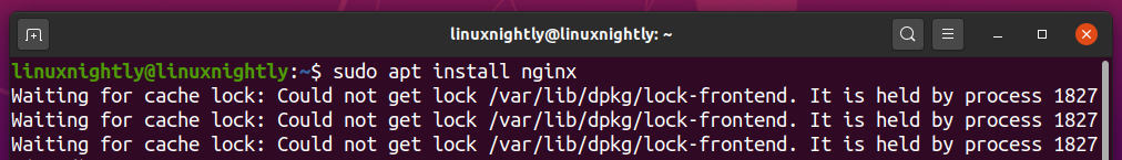 Could not get lock error on Ubuntu